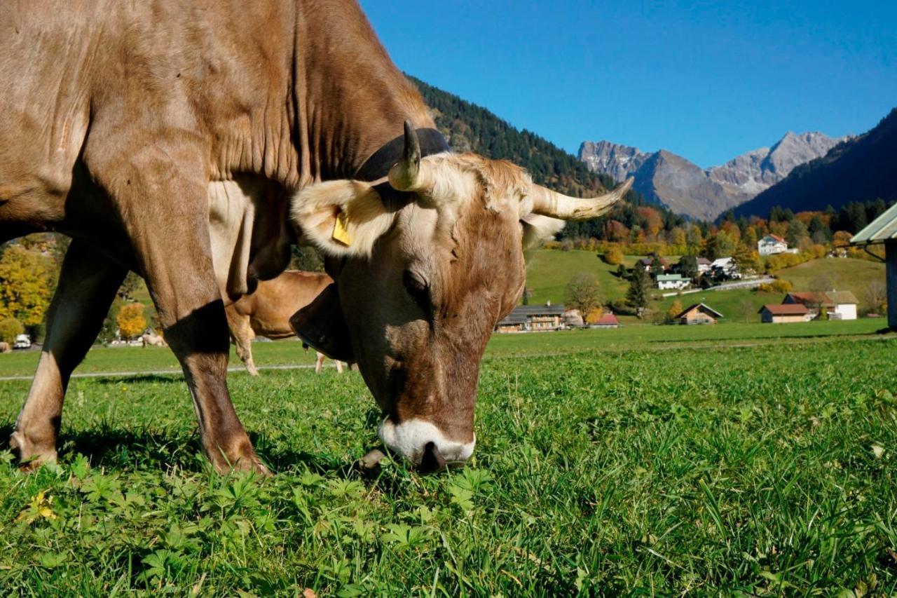 Wiesenblick Oberstdorf Eksteriør billede